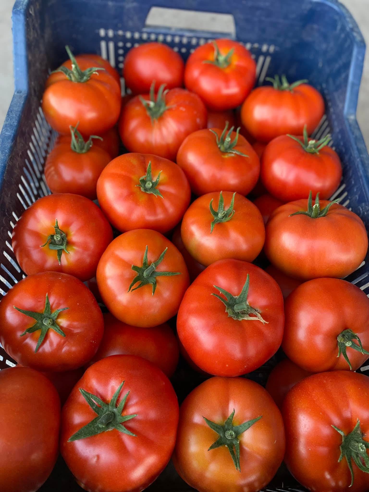 Bif Domates Seçkisi